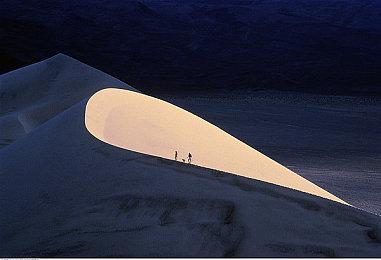 《终远的威尔修-EpiC:lycoris-》主要登场人物及可攻略角色介绍